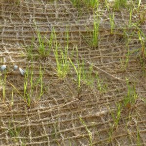 jute-soil-saver-jute-geo-textile